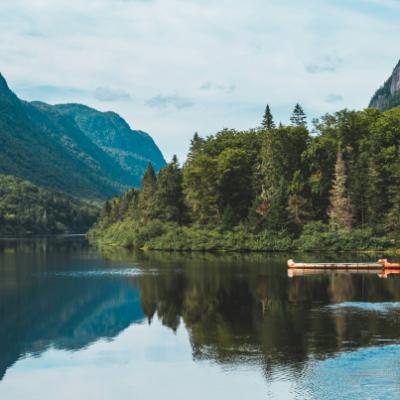 내가 그때 알던 물