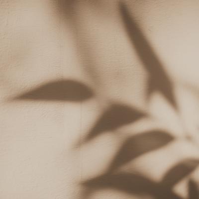 아무 일도 없었던 것처럼 