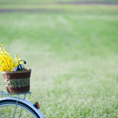 끓어오르는 것이 세계의 법칙이라면