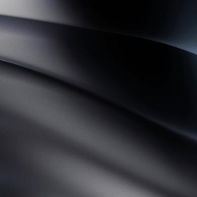 비정상 사회, 역사가 쓴 시대의 시놉시스