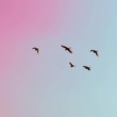 ○○지역 밖에서 삶