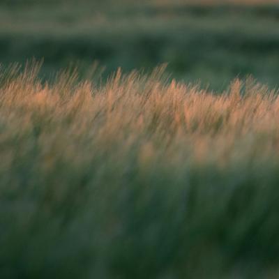 아늑한 위로를 만난 순간, 민바람 작가의 <낱말의 장면들>