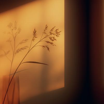 2020년대 문장웹진 중간결산 특집 좌담