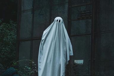 소중한 것은 어디에 있지?