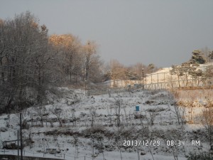 SAM_2186
