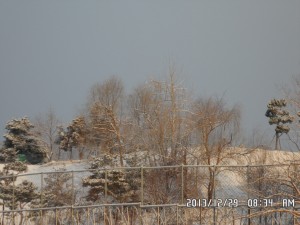 SAM_2188