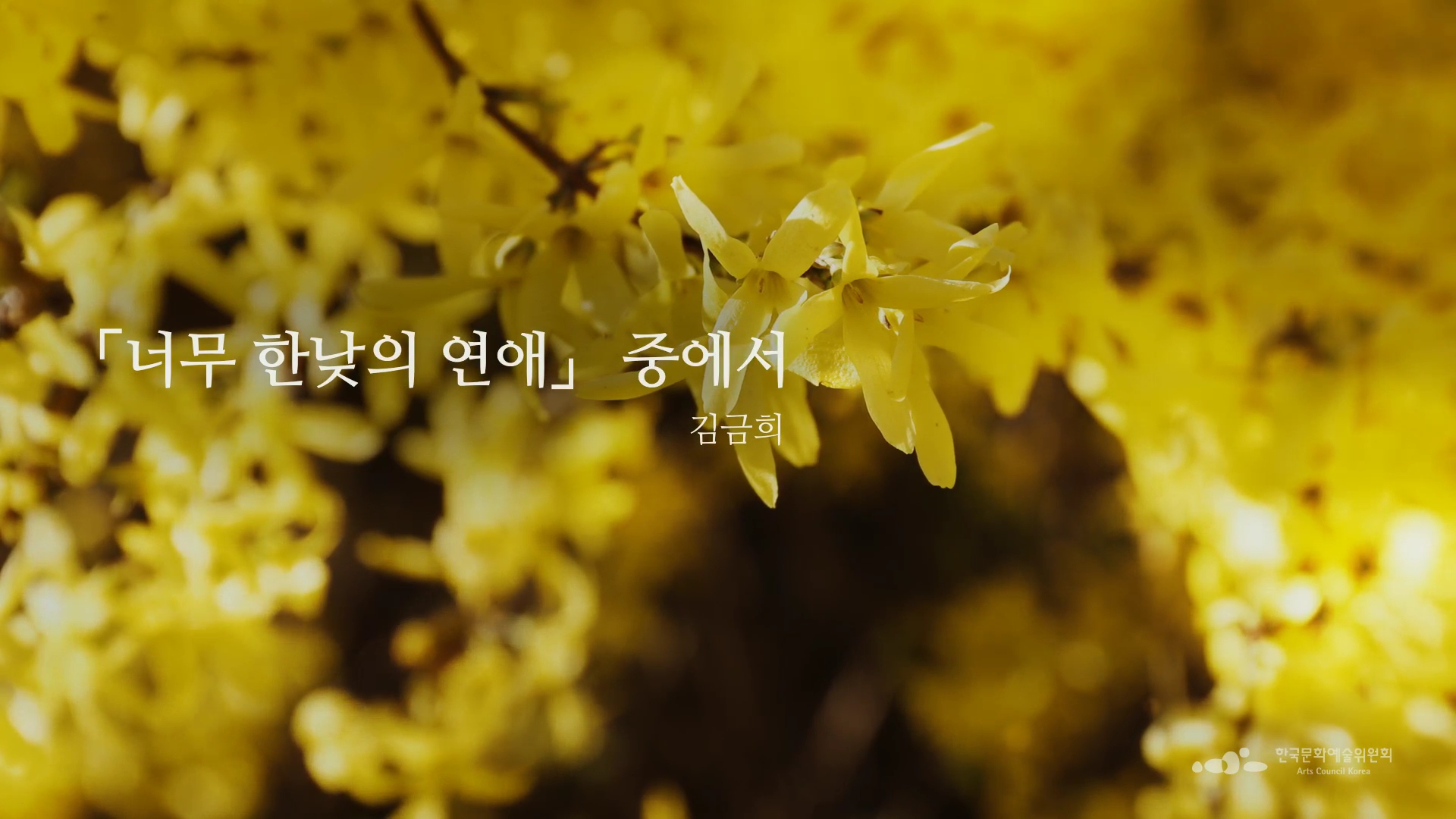 김금희, 「너무 한낮의 연애」 중에서