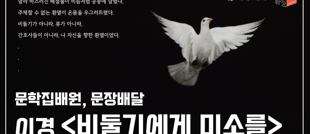 이경, 「비둘기에게 미소를」 중에서