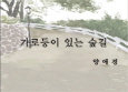 양애경,「가로등이 있는 숲길」